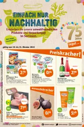 Gazetka promocyjna Tegut - Angebote der Woche - Gazetka - ważna od 15.10 do 15.10.2022 - strona 1 - produkty: alkohol, almighur, almighurt, angebot, angebote, Becher, beere, bio, brustfilet, decke, dekoration, duschgel, ecco, ehrmann, ehrmann almighurt, eis, erdbeere, Feigen, filegro, filet, fisch, fische, Fischer, flasche, frucht, fruchtjoghurt, fruchtsecco, getränk, getränke, heidelbeere, himbeer, himbeere, iglo, joghur, joghurt, kosmetik, milch, natur, naturkosmetik, pute, putenbrust, putenbrustfilet, reis, rotkäppchen, saft, Schere, schlemmer-filet, schnitzel, sekt, telefon, tender, Ti, uhr, weleda