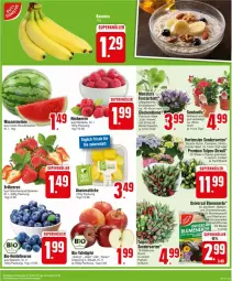 Gazetka promocyjna Edeka - Prospekte - Gazetka - ważna od 06.04 do 06.04.2024 - strona 3 - produkty: ananas, Ananasstücke, beere, beeren, beutel, bio, blume, blumen, blumenerde, Blüte, elle, erdbeere, erdbeeren, erde, fenster, heidelbeere, heidelbeeren, himbeer, himbeere, himbeeren, hortensie, hortensien, melone, monster, Monstera, papier, pflanze, pflanzen, Spezi, tafeläpfel, Ti, topf, wasser, wassermelone, WICK