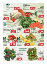 Gazetka promocyjna Feneberg - Prospekte - Gazetka - ważna od 05.03 do 05.03.2022 - strona 6 - produkty: auer, Bau, beere, beeren, beutel, bio, blume, blumen, blumenkohl, eintöpfe, eis, elle, erdbeere, erdbeeren, fleisch, frucht, ilag, karotten, kiwi, kohlrabi, kopfsalat, LG, mac, reifen, reis, rispentomaten, saft, salat, Schal, Schale, schnitten, suppe, suppen, Ti, tisch, tomate, tomaten, topf, vita, zitrone, zitronen