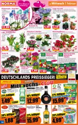 Gazetka promocyjna Norma - Norma - Gazetka - ważna od 12.02 do 12.02.2024 - strona 14 - produkty: Begonie, blume, blumen, Blüte, caramel, chia, cola, dahlie, Echinacea, eier, eis, Elefant, ente, erfrischungsgetränk, flasche, getränk, gin, Gladiolen, Holz, hortensie, irish whiskey, Kalanchoe, Kraut, kräuter, kräuterlikör, kulturtopf, lamm, LG, likör, lindor, milch, orange, pflanze, pflanzen, phalaenopsis, Physalis, Pods, reis, reiss, Ria, salz, Spezi, stauden, Sukkulente, Ti, topf, übertopf, whiskey, würstchen, zwiebel, zwiebeln