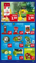 Gazetka promocyjna Marktkauf - Prospekt - Gazetka - ważna od 11.01 do 11.01.2025 - strona 9 - produkty: rosen, Ti