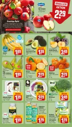 Gazetka promocyjna Rewe - Prospekte - Gazetka - ważna od 09.03 do 09.03.2024 - strona 4 - produkty: apfel, avocado, banane, bananen, bio, Birnen, bonduelle, broccoli, buch, elle, Falafel, frucht, Garten, ingwer, kokos, kokosnuss, kopfsalat, küche, LG, mandarine, mandarinen, möhren, nuss, orange, orangen, pflaume, pflaumen, Rettich, rezept, rezepte, rote tafeläpfel, salat, salate, Schal, Schale, tafeläpfel, tafelbirnen, Ti