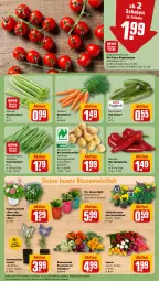 Gazetka promocyjna Rewe - Prospekte - Gazetka - ważna od 09.03 do 09.03.2024 - strona 5 - produkty: Alwa, Always, bio, blume, blumen, Blumenstrauß, bohne, bohnen, Bundmöhren, eis, elle, gurke, gurken, HP, kartoffel, kartoffeln, LG, Mett, möhren, paprika, pflanze, prinzessbohnen, Rauch, reis, rispentomaten, Schal, Schale, Schmetterling, speisekartoffeln, Spitzpaprika, stauden, Ti, tomate, tomaten, topf