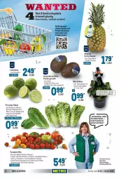 Gazetka promocyjna Metro - Food - Gazetka - ważna od 31.12 do 31.12.2021 - strona 6 - produkty: Abtei, ananas, angebot, angebote, avocado, cocktail, decke, eis, , fisch, fische, Fischer, fleisch, früchte, glücksklee, grill, ideal zum grillen, limette, limetten, Löffel, Metro, metro gastro, Mett, metten, obst, reis, sac, salat, salate, salatherzen, Schal, Schale, Schornsteinfeger, snack, Ti, tomate, tomaten, topf