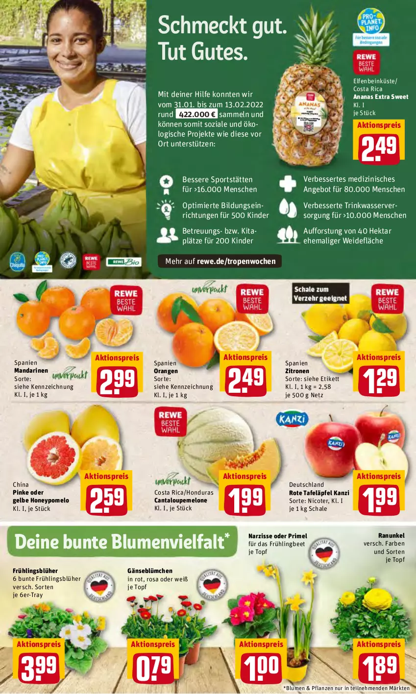 Aktueller Prospekt Rewe - Prospekte - von 07.03 bis 13.03.2022 - strona 2 - produkty: aktionspreis, ananas, angebot, blume, blumen, eis, Kinder, mandarine, mandarinen, melone, orange, orangen, pflanze, pflanzen, Pomelo, reis, rote tafeläpfel, Schal, Schale, Sport, tafeläpfel, Ti, topf, wasser, zitrone, zitronen