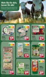 Gazetka promocyjna Rewe - Prospekte - Gazetka - ważna od 13.03 do 13.03.2022 - strona 16 - produkty: beere, beeren, bio, Blüte, blütenhonig, erde, frischkäse, grüner tee, hafer, haferflocken, honig, Käse, korn, Körniger Frischkäse, müsli, natur, naturland, pesto, rewe bio, tee, Ti