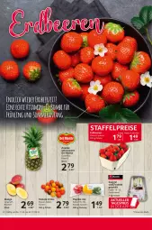 Gazetka promocyjna Selgros - Food - Gazetka - ważna od 17.04 do 17.04.2024 - strona 8 - produkty: ananas, eis, mango, monte, paprika, paprika mix, reis, Schal, Schale, spargel, Ti, tomate