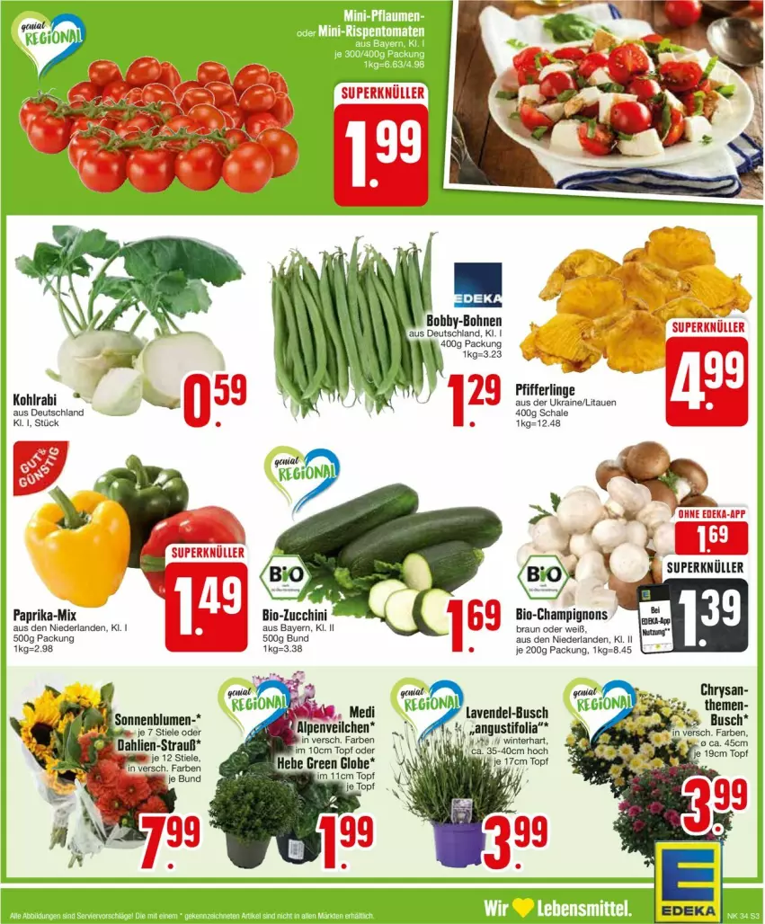 Aktueller Prospekt Edeka - Prospekte - von 19.08 bis 24.08.2024 - strona 3 - produkty: bio, blume, blumen, bohne, bohnen, braun, champignon, champignons, champignons braun, dahlie, kohlrabi, lavendel, paprika, Pfifferlinge, Schal, Schale, sonnenblume, sonnenblumen, Ti