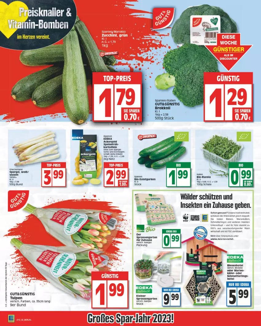 Aktueller Prospekt Edeka - Angebote der Woche - von 20.03 bis 25.03.2023 - strona 2 - produkty: ackergold, Atari, bio, brokkoli, cola, deka, dell, eis, elle, Garten, gurke, gurken, Holz, käfer, kartoffel, kartoffeln, LG, Mett, Mode, reis, rucola, salat, Salatgurke, salatgurken, Schal, Schale, Schmetterling, Schütze, sekt, spargel, Ti, ZTE