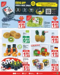 Gazetka promocyjna Edeka - Angebote der Woche - Gazetka - ważna od 25.03 do 25.03.2023 - strona 3 - produkty: ananas, beere, beeren, beutel, bio, deka, dell, eis, heidelbeere, heidelbeeren, kartoffel, kartoffeln, kiwi, LG, linsen, natur, natura, obst, orange, orangen, Pulled Pork, reis, rotkohl, salat, salate, Schal, Schale, schinken, tafeläpfel, Ti, topf, ZTE