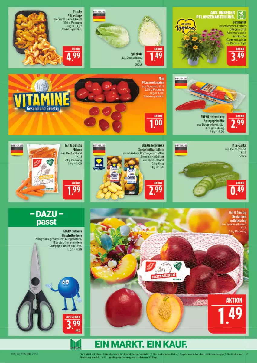 Aktueller Prospekt Marktkauf - Prospekt - von 12.07 bis 18.07.2026 - strona 9 - produkty: deka, eis, fleisch, Frühkartoffeln, gurke, kartoffel, kartoffeln, möhren, paprika, paprika mix, reis, Schere, speisefrühkartoffeln, spitzkohl, Spitzpaprika, tee, Ti, topf, ZTE