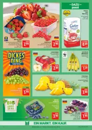 Gazetka promocyjna Marktkauf - Prospekt - Gazetka - ważna od 18.07 do 18.07.2026 - strona 8 - produkty: ananas, banane, bananen, Bau, beere, beeren, deka, discount, eis, elle, erdbeere, erdbeeren, johannisbeere, Johannisbeeren, reis, rel, südzucker, tafeläpfel, Ti, ZTE, zucker