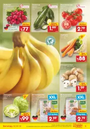 Gazetka promocyjna Netto Marken-Discount - Filial-Angebote - Gazetka - ważna od 02.04 do 02.04.2022 - strona 5 - produkty: angebot, asti, bio, braun, champignon, champignons, champignons braun, eis, eisbergsalat, kartoffel, kartoffeln, radieschen, rispentomaten, salat, Schal, Schale, speisekartoffeln, Speisezwiebeln, suppe, suppen, Ti, tomate, tomaten, ZTE, zucchini, zwiebel, zwiebeln