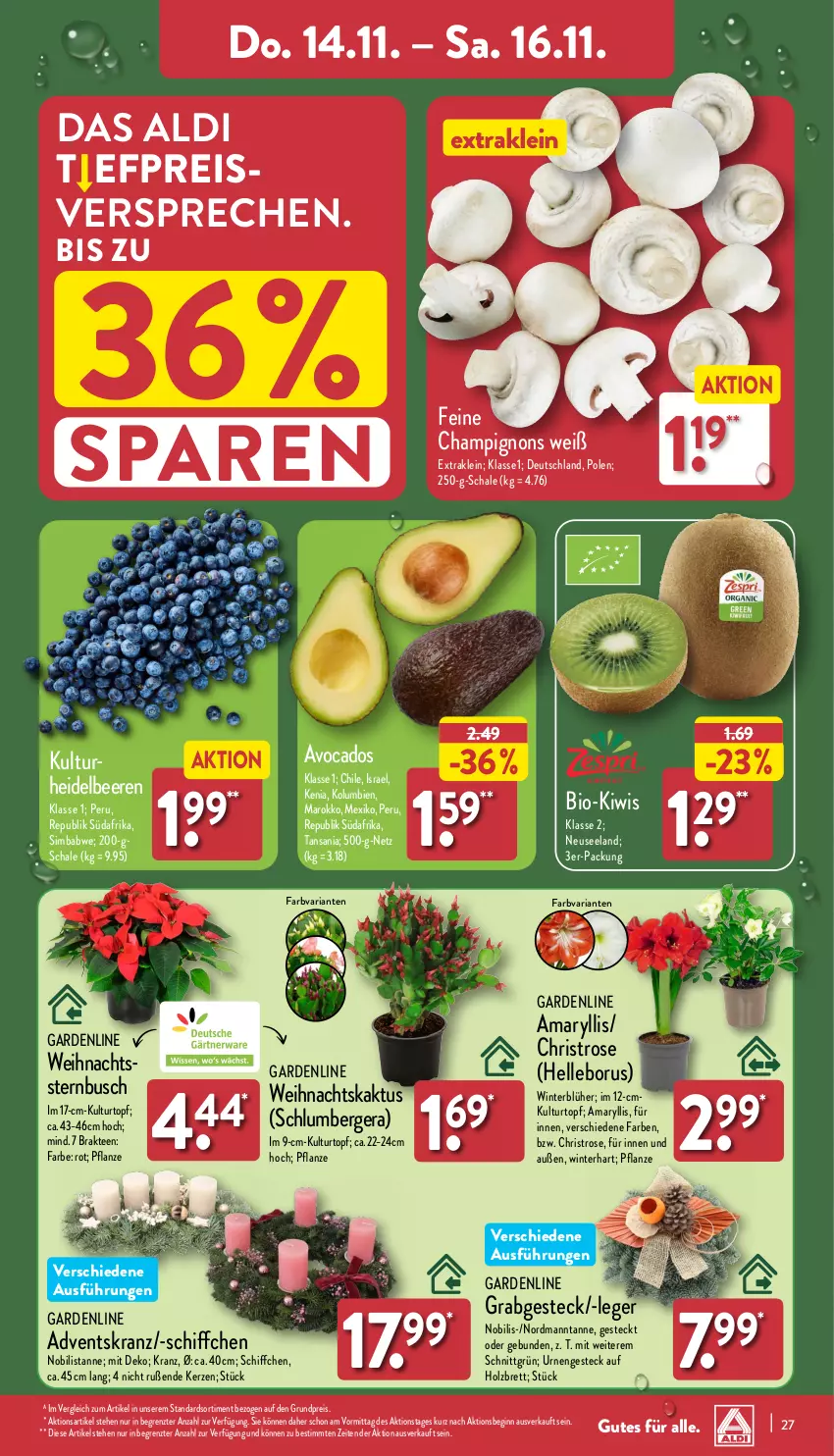 Aktueller Prospekt Aldi Nord - Von Montag - von 11.11 bis 16.11.2024 - strona 31 - produkty: Adventskranz, aldi, avocado, avocados, beere, beeren, Berger, bio, champignon, champignons, eis, Elan, elle, gin, heidelbeere, heidelbeeren, Holz, kerze, kiwi, Kranz, kulturtopf, pflanze, reis, Ria, Schal, Schale, Schiffchen, sim, simba, tee, Ti, topf, Weihnachtsstern, ZTE