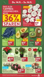 Gazetka promocyjna Aldi Nord - Von Montag - Gazetka - ważna od 16.11 do 16.11.2024 - strona 31 - produkty: Adventskranz, aldi, avocado, avocados, beere, beeren, Berger, bio, champignon, champignons, eis, Elan, elle, gin, heidelbeere, heidelbeeren, Holz, kerze, kiwi, Kranz, kulturtopf, pflanze, reis, Ria, Schal, Schale, Schiffchen, sim, simba, tee, Ti, topf, Weihnachtsstern, ZTE