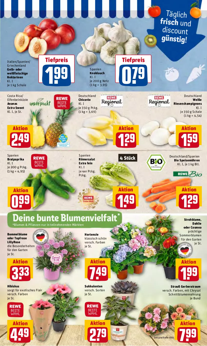 Aktueller Prospekt Rewe - Diese Woche im Angebot! - von 27.06 bis 02.07.2022 - strona 3 - produkty: ananas, bio, blume, blumen, champignon, champignons, cosmea, dahlie, discount, eis, ente, fleisch, Garten, Gerber, hortensie, knoblauch, möhren, Nektar, nektarinen, paprika, pflanze, pflanzen, reis, salat, Schal, Schale, speisemöhren, Strohblume, Sukkulente, Ti, tiefpreis, tisch, topf