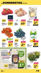 Gazetka promocyjna Netto - Woche 31 - Gazetka - ważna od 06.08 do 06.08.2022 - strona 20 - produkty: Ayran, beere, beeren, bio, chrysanthemen, fertiggericht, fertiggerichte, heidelbeere, heidelbeeren, Holts, Käse, käsescheiben, küche, Küchen, mango, monitor, rind, rinder, rispentomaten, Ti, tomate, tomaten, topf