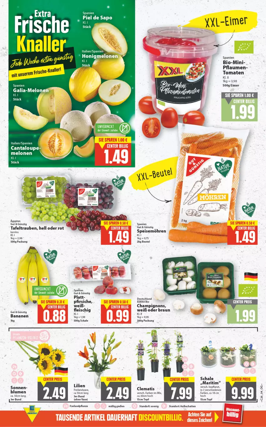 Aktueller Prospekt E Center - Angebote der Woche - von 27.06 bis 02.07.2022 - strona 4 - produkty: banane, bananen, beutel, bio, braun, champignon, champignons, deka, edeka bio, eimer, eis, fleisch, Galia-melone, melone, melonen, möhren, pfirsich, pfirsiche, pflanze, pflaume, pflaumen, Schal, Schale, speisemöhren, tafeltrauben, tee, Ti, tomate, tomaten, topf, trauben, Vase