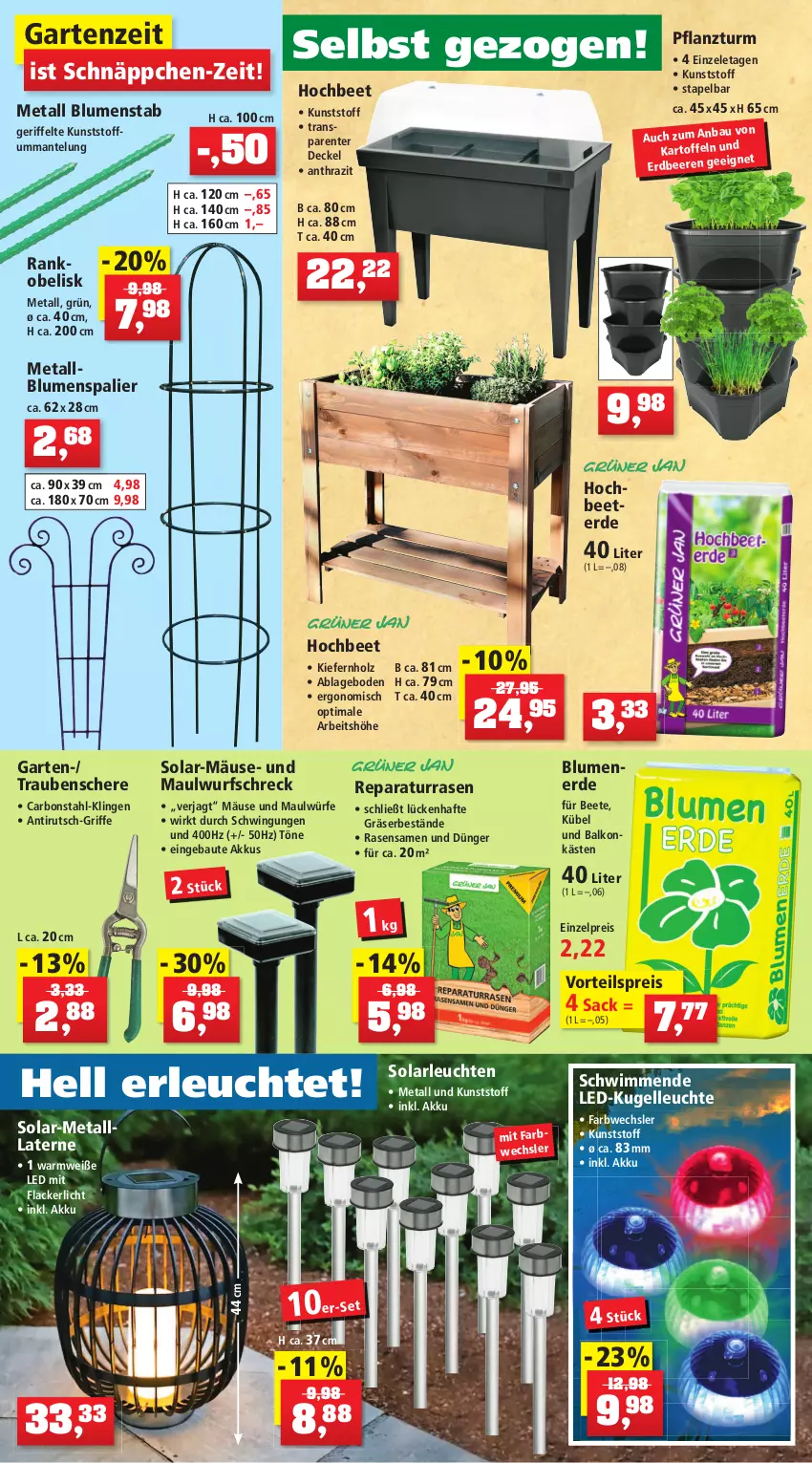 Aktueller Prospekt Thomas Philipps - Prospektwerbung - von 23.05 bis 28.05.2022 - strona 6 - produkty: akku, aubergine, balkonpflanzen, Bau, beere, beeren, bio, blume, blumen, blumenerde, brause, decke, Deckel, dünger, eis, elle, ente, erdbeere, erdbeeren, erde, fenster, Garten, Gemüsedünger, geranie, geranien, Gewächshaus, Gießkanne, gin, Holz, kartoffel, kartoffeln, Kugel, lack, Lacke, laterne, Leuchte, leuchten, LG, Lobelie, Mantel, paprika, pflanze, pflanzen, Pflanztopf, rasen, rasensamen, reis, rosen, sac, Schere, schnäppchen, solarleuchte, spartipp, Ti, tomate, tomaten, topf, trauben, vorteilspreis, wasser