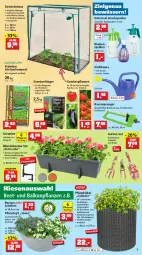 Gazetka promocyjna Thomas Philipps - Prospektwerbung - Gazetka - ważna od 28.05 do 28.05.2022 - strona 7 - produkty: akku, aubergine, balkonpflanzen, Bau, beere, beeren, bio, blume, blumen, blumenerde, brause, decke, Deckel, dünger, eis, elle, ente, erdbeere, erdbeeren, erde, fenster, Garten, Gemüsedünger, geranie, geranien, Gewächshaus, Gießkanne, gin, Holz, kartoffel, kartoffeln, Kugel, lack, Lacke, laterne, Leuchte, leuchten, LG, Lobelie, Mantel, paprika, pflanze, pflanzen, Pflanztopf, rasen, rasensamen, reis, rosen, sac, Schere, schnäppchen, solarleuchte, spartipp, Ti, tomate, tomaten, topf, trauben, vorteilspreis, wasser