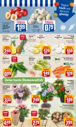 Gazetka promocyjna Rewe - Prospekte - Gazetka - ważna od 03.07 do 03.07.2022 - strona 3 - produkty: ananas, bio, blume, blumen, champignon, champignons, cosmea, dahlie, discount, eis, ente, fleisch, Garten, Gerber, hortensie, knoblauch, möhren, Nektar, nektarinen, paprika, pflanze, pflanzen, reis, salat, Schal, Schale, speisemöhren, Strohblume, Sukkulente, Ti, tiefpreis, tisch, topf