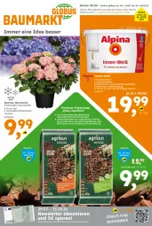 Gazetka promocyjna  - Gazetka - ważna od 24.08 do 24.08.2024 - strona 1 - produkty: Bau, Blüte, dekoration, eimer, Garten, hortensie, hydrangea, hydrangea macrophylla, kraft, Kraut, mac, pflanze, rind, sac, Ti, topf