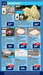 Gazetka promocyjna AldiSud - ALDI Aktuell - Gazetka - ważna od 26.02 do 26.02.2022 - strona 24 - produkty: aldi, angebot, angebote, auer, ball, Bau, baumwolle, Blüte, creme, decke, deckenleuchte, eis, erde, fernbedienung, Garten, gin, hortensie, led-deckenleuchte, leine, Leuchte, matratze, matratzen, Matratzentopper, Nachtlicht, ndk, pflanze, pflanzen, reis, rosen, rwe, Ti, topf, topper, uhr, wolle