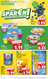 Gazetka promocyjna Kaufland - Prospekt - Gazetka - ważna od 18.10 do 18.10.2023 - strona 44 - produkty: angebot, apfel, Apfelstrudel, bärenmarke, Becher, beere, beeren, coppenrath, danone, danone fruchtzwerge, ehrmann, eis, frucht, früchte, früchten, fruchtzwerge, Garten, heidelbeere, heidelbeeren, kaffee, Kaffeemilch, Käse, kondensmilch, milch, obst, obstgarten, pizza, quark, reis, Schal, Schale, Strudel, Ti, ZTE