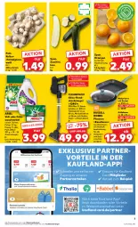 Gazetka promocyjna Kaufland - Prospekt - Gazetka - ważna od 18.10 do 18.10.2023 - strona 7 - produkty: akku, akku-handstaubsauger, angebot, angebote, ariel, Behälter, beutel, champignon, champignons, cleanmaxx, colorwaschmittel, decke, Deckel, eis, elle, grill, Grillpfanne, handstaubsauger, herdarten, kraft, orange, orangen, pfanne, pfannen, Pods, russell hobbs, saft, Schal, Schale, staubsauger, Teleskop, Ti, waschmittel, wok, zucchini