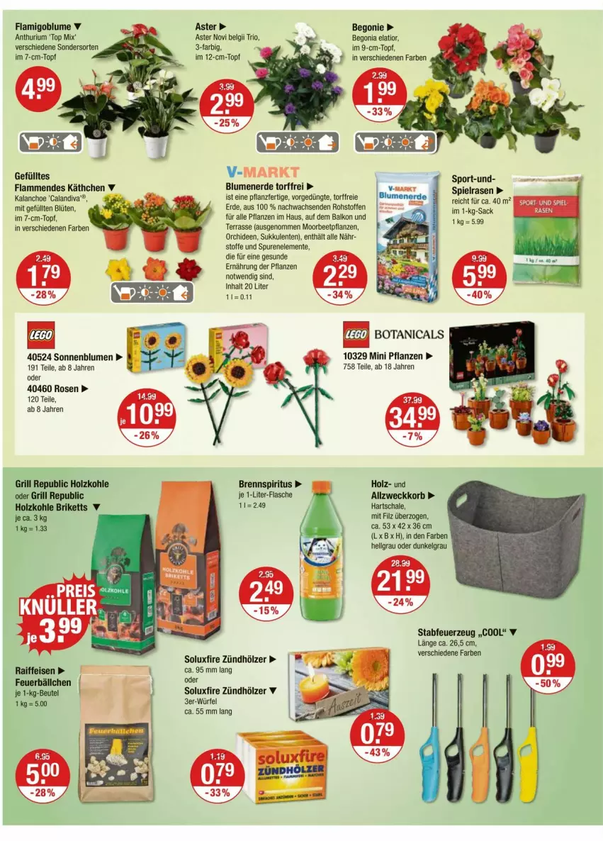Aktueller Prospekt Vmarkt - Prospekte - von 11.09 bis 17.09.2025 - strona 16 - produkty: beetpflanzen, Begonia, Begonie, beutel, blume, blumen, blumenerde, Blüte, briketts, eis, ente, erde, Feuerzeug, flasche, grill, Holz, holzkohle, im 9-cm-topf, je 1-liter-flasche, Kalanchoe, korb, lamm, LG, orchidee, orchideen, pflanze, pflanzen, rasen, rosen, sac, Schal, Schale, sonnenblume, sonnenblumen, spiritus, Sport, Sukkulente, Ti, topf, weck, würfel