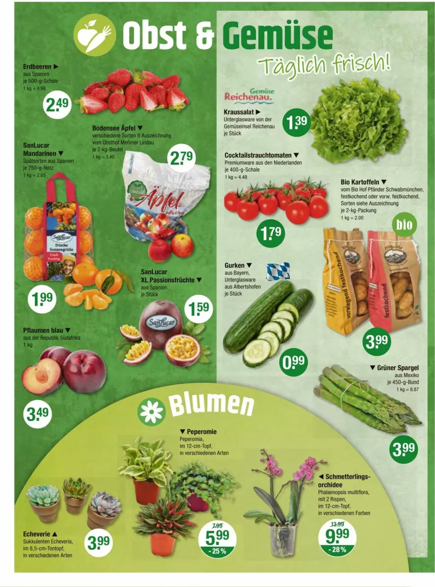 Aktueller Prospekt Vmarkt - Prospekte - von 22.02 bis 28.02.2024 - strona 4 - produkty: bio, cocktail, cocktails, grüner spargel, gurke, gurken, kartoffel, kartoffeln, Kraussalat, Ofen, Rauch, salat, Schal, Schale, spargel, strauchtomaten, tomate, tomaten