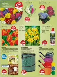 Gazetka promocyjna Vmarkt - Prospekte - Gazetka - ważna od 28.02 do 28.02.2024 - strona 16 - produkty: angebot, angebote, blume, blumen, brause, cin, decke, dünger, elle, flüssigdünger, Garten, Gewebeplane, Gießkanne, Holz, hortensie, hydrangea, kraft, Kraut, leine, LG, mac, pflanze, pflanzen, rind, rindenmulch, sac, Ti, topf, tulip, zwiebel, zwiebeln