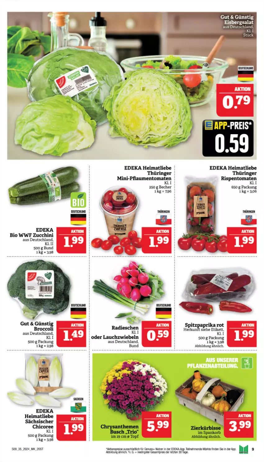 Aktueller Prospekt Marktkauf - Prospekt - von 25.08 bis 31.08.2024 - strona 9 - produkty: Becher, bio, deka, eis, korb, Kürbis, Lauchzwiebel, lauchzwiebeln, nuss, paprika, paprika rot, reis, Spitzpaprika, Ti, topf, ZTE, zucchini, zwiebel, zwiebeln