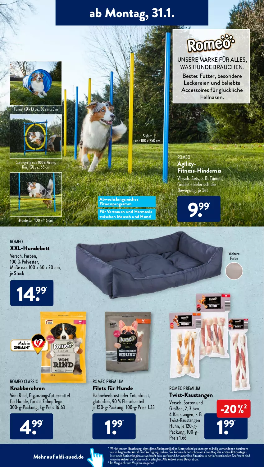 Aktueller Prospekt AldiSud - ALDI Aktuell - von 31.01 bis 05.02.2022 - strona 8 - produkty: ACC, accessoires, aldi, alle artikel ohne dekoration, angebot, aust, bett, dekoration, eis, elle, ente, Entenbrust, filet, filets, fleisch, gin, hähnchenbrust, Hundebett, Rauch, reis, resa, rind, ring, Spiele, Ti, ZTE