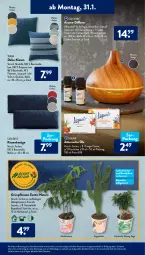 Gazetka promocyjna AldiSud - ALDI Aktuell - Gazetka - ważna od 05.02 do 05.02.2022 - strona 7 - produkty: alle artikel ohne dekoration, Bau, baumwolle, beleuchtung, casa deco, dekoration, dell, Diffuser, eis, elle, Feigen, fenster, gin, Grünpflanzen, kissen, kulturtopf, led-beleuchtung, lufterfrischer, Mode, natur, orange, pflanze, pflanzen, reis, rel, Schal, Ti, topf, wasser, wolle, Yo, zitrone, ZTE