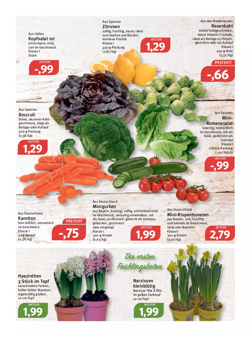 Aktueller Prospekt Feneberg - Prospekte - von 07.01 bis 08.01.2022 - strona 6 - produkty: auer, beutel, broccoli, brot, eis, elle, ente, fleisch, frucht, früchte, geback, gurke, gurken, ilag, karotten, kopfsalat, LG, mac, mini-rispentomaten, Narzissen, reis, rispentomaten, Romanasalat, rosen, Rosenkohl, rwe, saft, salat, Schal, Schale, Ti, tisch, tomate, tomaten, topf, vita, zitrone, zitronen