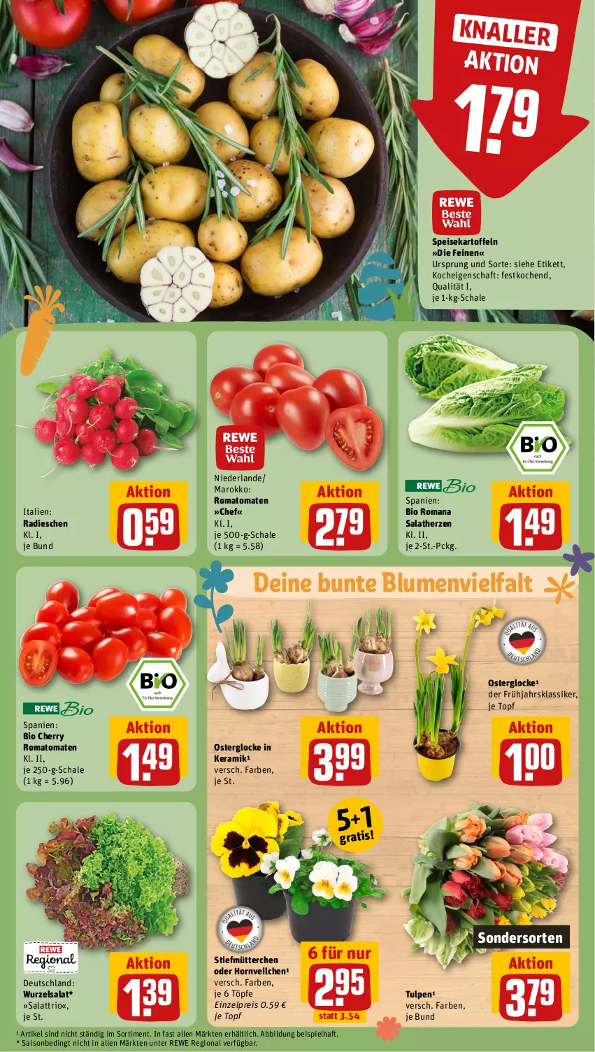 Aktueller Prospekt Rewe - Prospekte - von 25.03 bis 30.03.2024 - strona 11 - produkty: bio, blume, blumen, eis, kartoffel, kartoffeln, radieschen, reis, Romatomaten, salat, salatherzen, Schal, Schale, speisekartoffeln, Ti, tomate, tomaten, topf