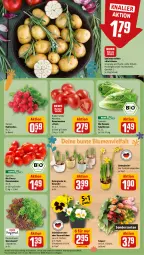 Gazetka promocyjna Rewe - Prospekte - Gazetka - ważna od 30.03 do 30.03.2024 - strona 11 - produkty: bio, blume, blumen, eis, kartoffel, kartoffeln, radieschen, reis, Romatomaten, salat, salatherzen, Schal, Schale, speisekartoffeln, Ti, tomate, tomaten, topf