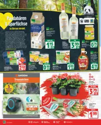 Gazetka promocyjna Edeka - Angebote der Woche - Gazetka - ważna od 15.04 do 15.04.2023 - strona 2 - produkty: apfel, apfelmus, auer, beutel, bio, Bio-Wein, bioland, deka, edeka bio, eis, Engel, flasche, gardena, gemüsemais, geranie, geranien, grill, LG, mais, milch, mozzarella, natur, naturland, reis, rel, sirup, Ti, topf, vollmilch, wein, weine, ZTE, zucker