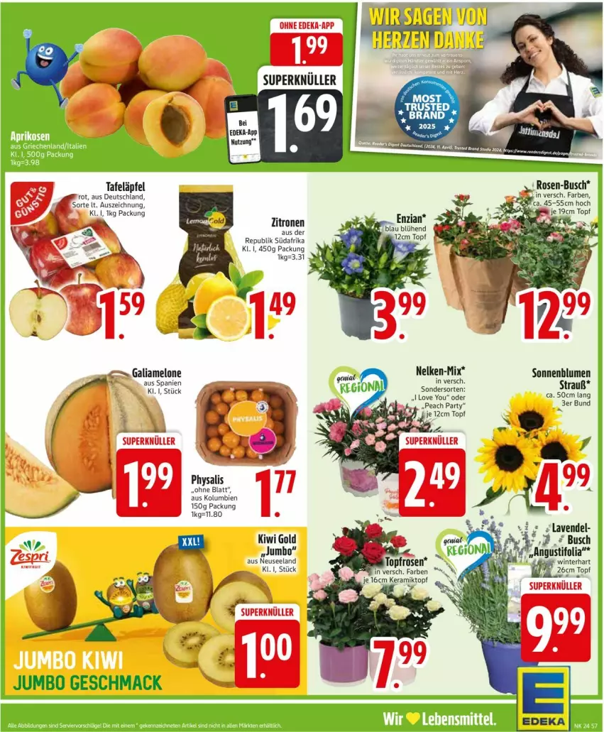 Aktueller Prospekt Edeka - Prospekte - von 09.06 bis 14.06.2025 - strona 7 - produkty: blume, blumen, Elan, galiamelone, jumbo, kiwi, Kiwi Gold, mac, melone, Physalis, sonnenblume, sonnenblumen, tafeläpfel, topf, Yo, zitrone, zitronen