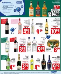 Gazetka promocyjna Edeka - Prospekte - Gazetka - ważna od 14.06 do 14.06.2025 - strona 22 - produkty: alkohol, auer, baileys, blauer zweigelt, chardonnay, corona, Dany, deka, doppio passo, eier, eierlikör, eis, flasche, gin, gordon, gordon's, grill, grillo, grüner veltliner, henkel, henkell, irish cream, jack daniel, jack daniel's, kräuter, kräuterlikör, Lenz Moser, likör, limo, liqueur, maracuja, merl, merlot, mezzacorona, moser, ouzo, passo, payback, pfirsich, primitivo, reis, sekt, tee, tennessee whiskey, Ti, verpoorten, whiskey, ZTE, Zweigelt