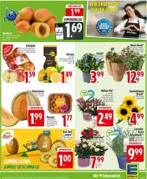 Gazetka promocyjna Edeka - Prospekte - Gazetka - ważna od 14.06 do 14.06.2025 - strona 7 - produkty: blume, blumen, Elan, galiamelone, jumbo, kiwi, Kiwi Gold, mac, melone, Physalis, sonnenblume, sonnenblumen, tafeläpfel, topf, Yo, zitrone, zitronen