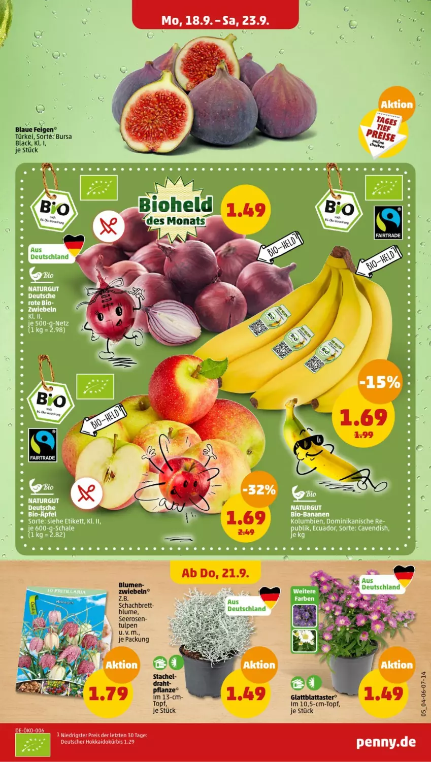 Aktueller Prospekt Penny - Prospekte - von 18.09 bis 23.09.2023 - strona 5 - produkty: bio, blume, blumen, Draht, eis, Kürbis, lack, pflanze, reis, rosen, topf, ZTE, zwiebel, zwiebeln