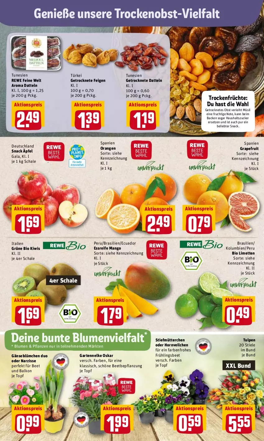 Aktueller Prospekt Rewe - Diese Woche im Angebot! - von 28.03 bis 02.04.2022 - strona 2 - produkty: aktionspreis, bio, blume, blumen, Datteln, eis, Feigen, frucht, früchte, Garten, gartennelke, grapefruit, kiwi, limette, limetten, mango, Mett, metten, müsli, obst, orange, orangen, pflanze, pflanzen, reis, rewe feine welt, Schal, Schale, snack, Ti, topf, Trockenfrüchte, zucker