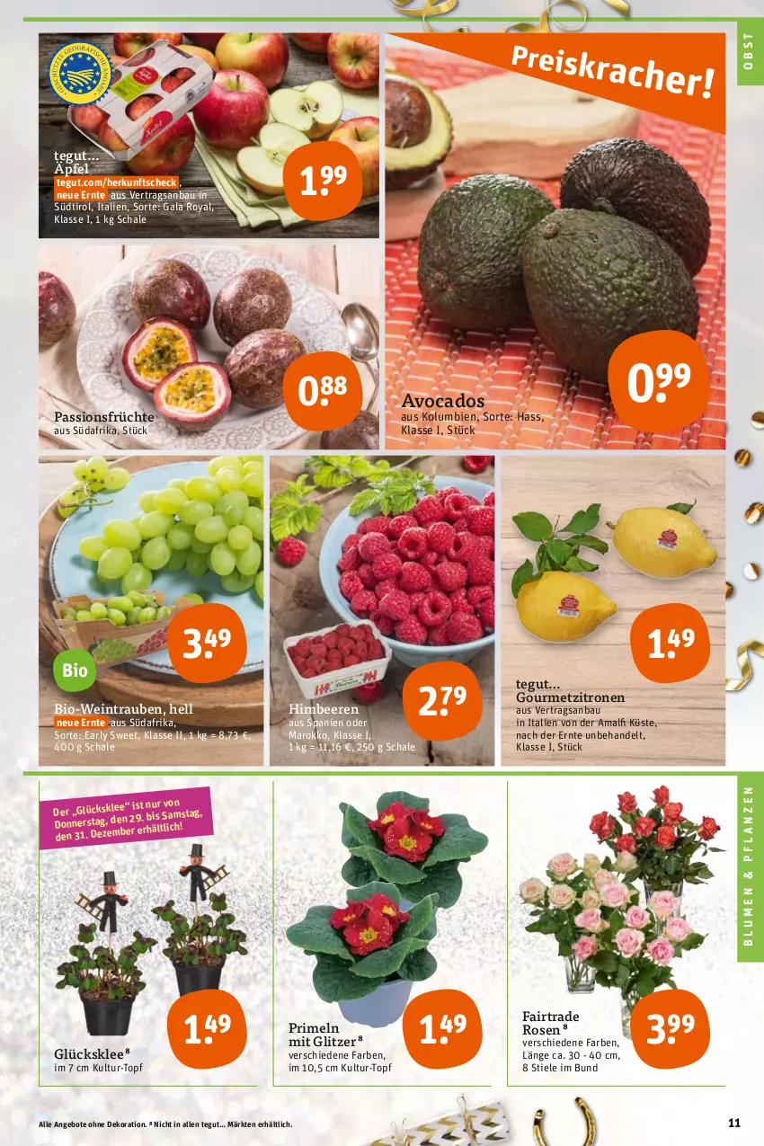 Aktueller Prospekt Tegut - Angebote der Woche - von 27.12 bis 31.12.2022 - strona 13 - produkty: angebot, angebote, avocado, avocados, Bau, beere, beeren, bio, Bio-Wein, blume, blumen, dekoration, früchte, glücksklee, himbeer, himbeere, himbeeren, obst, pflanze, pflanzen, Primeln, rosen, Schal, Schale, Ti, topf, trauben, wein, zitrone, zitronen