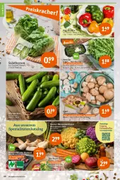 Gazetka promocyjna Tegut - Angebote der Woche - Gazetka - ważna od 31.12 do 31.12.2022 - strona 12 - produkty: angebot, angebote, Bau, bio, bioland, blume, blumen, blumenkohl, braun, champignon, champignons, cola, dekoration, Fondue, Gemüsefond, gurke, gurken, kräuter, Kräuterseitlinge, natur, naturland, paprika, paprika mix, rezept, ring, rote bete, rucola, salat, salatherzen, Schal, Schale, Spezi, Ti