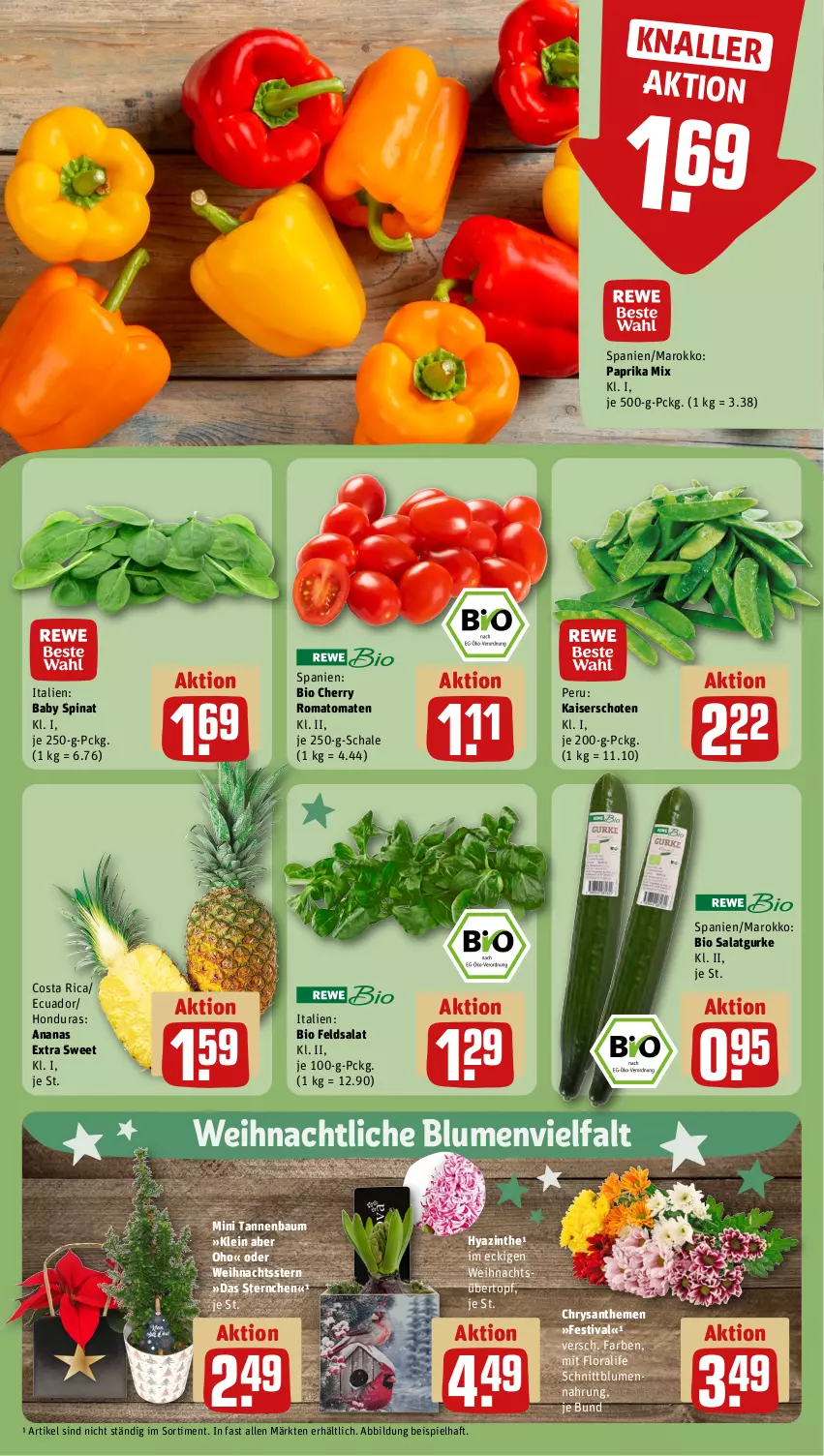 Aktueller Prospekt Rewe - Prospekte - von 25.11 bis 30.11.2024 - strona 9 - produkty: ananas, Bau, bio, blume, blumen, chrysanthemen, eis, feldsalat, gurke, Kaiser, paprika, paprika mix, Romatomaten, salat, Salatgurke, Schal, Schale, spinat, Tannenbaum, Ti, tomate, tomaten, topf, übertopf, Weihnachtsstern