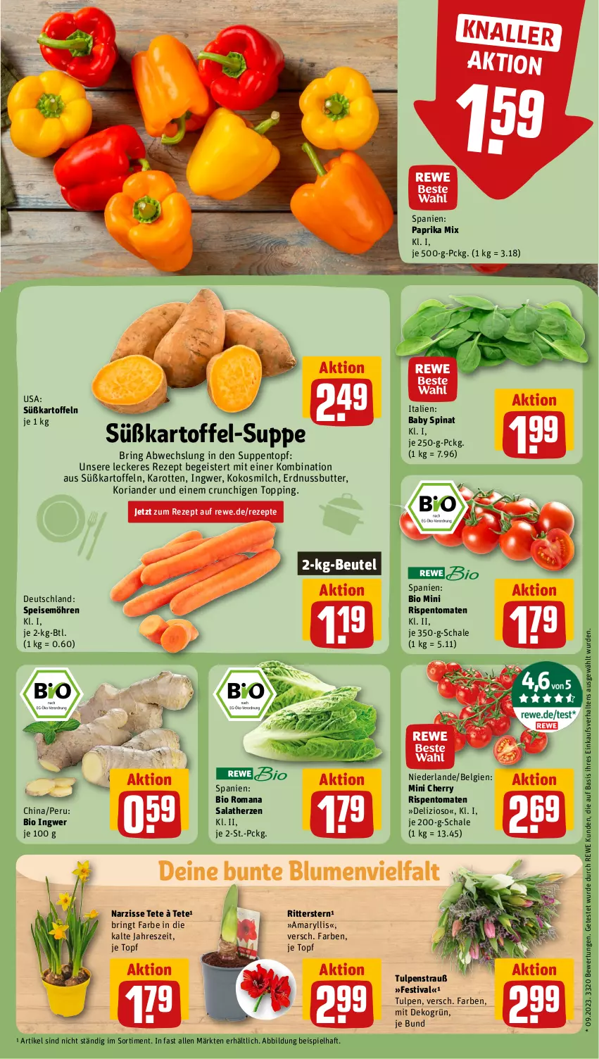 Aktueller Prospekt Rewe - Prospekte - von 02.01 bis 06.01.2024 - strona 7 - produkty: beutel, bio, blume, blumen, butter, eis, erdnuss, Erdnussbutter, ingwer, karotten, kartoffel, kartoffeln, kokos, kokosmilch, Koriander, LG, milch, möhren, nuss, paprika, paprika mix, rezept, rezepte, Ria, ring, rispentomaten, ritter, salat, salatherzen, Schal, Schale, speisemöhren, spinat, suppe, suppen, süßkartoffel-, Süßkartoffeln, Ti, tomate, tomaten, topf