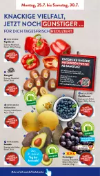 Gazetka promocyjna AldiSud - NÄCHSTE WOCHE - Gazetka - ważna od 30.07 do 30.07.2022 - strona 2 - produkty: aldi, angebot, asti, avocado, beere, beeren, decke, eis, Elan, galiamelone, heidelbeere, heidelbeeren, kiwi, Kiwi Gold, kracher, kuchen, melone, natur, paprika, paprika rot, reis, Schal, Schale, Ti, ZTE